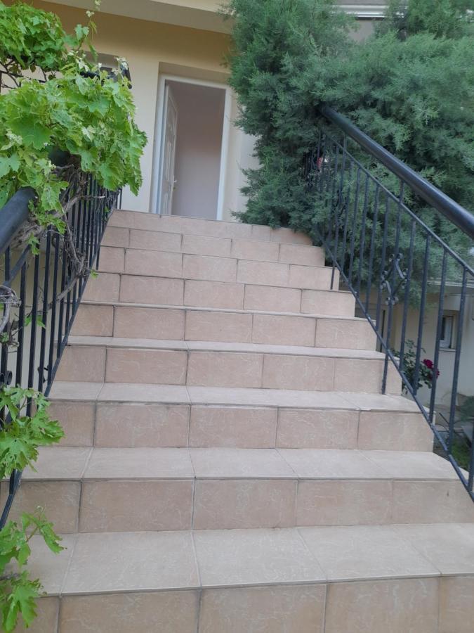 ستافروس Villa Leopard المظهر الخارجي الصورة